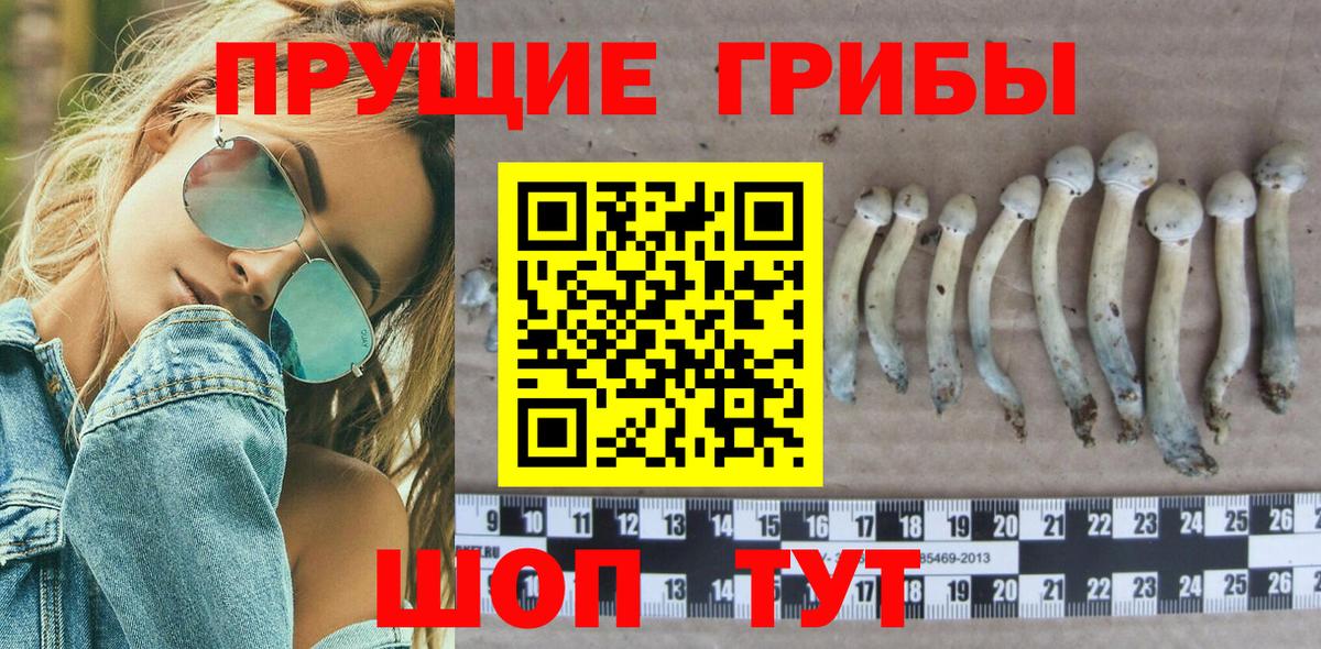 Галлюциногенные грибы прущие грибы Еманжелинск